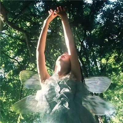 梅迪亚度假婚礼团